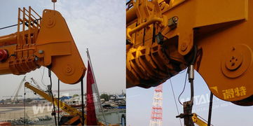 微特以卓越品質贏得中東客戶青睞，起重機產品揚帆海外市場